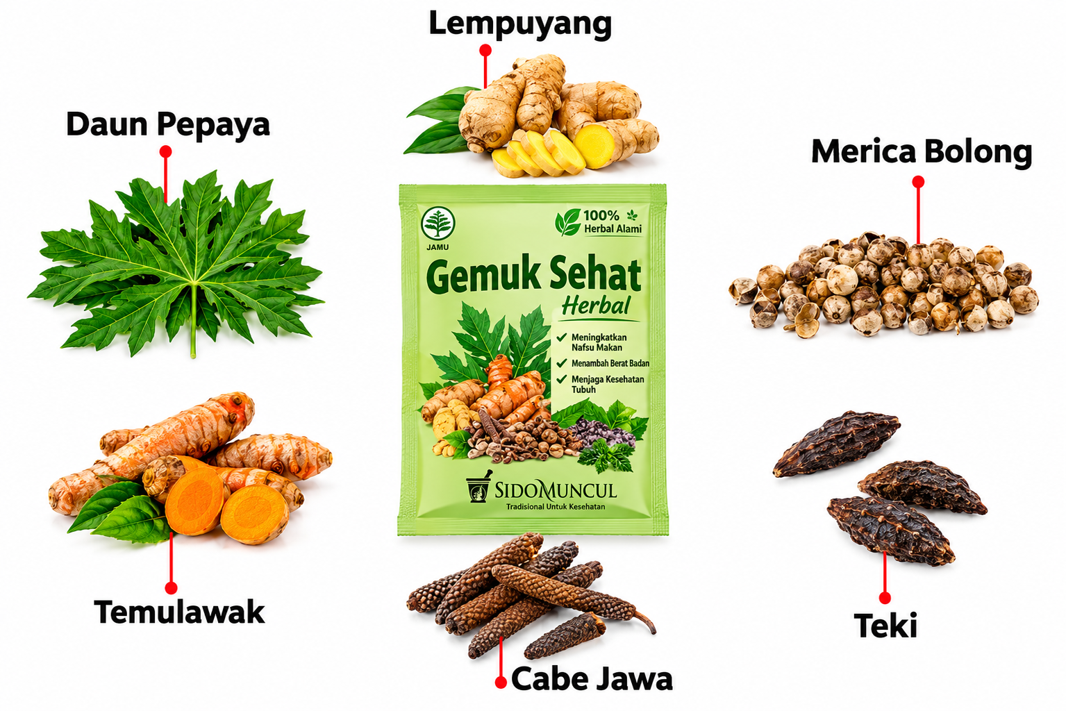 Gambar 2